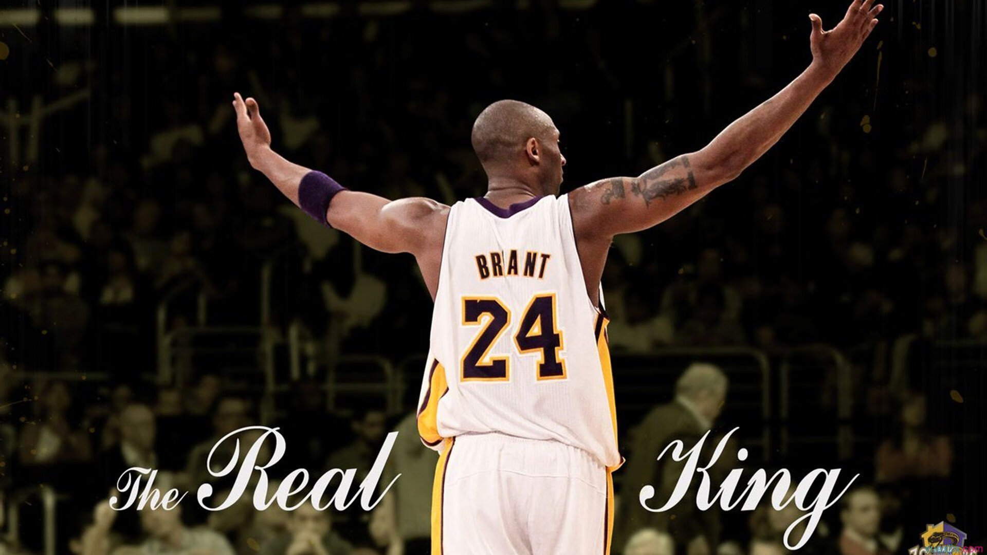 太阳鏖战吉林队，拉文在焦点战证明自己，从质疑到主宰的蜕变之路